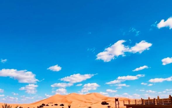 Les Roses Des Dunes