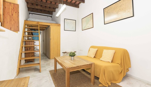 LOFT SANTIAGO - Nice flat in the centre of Jerez de la Frontera with Free Wifi in Jerez de la Frontera