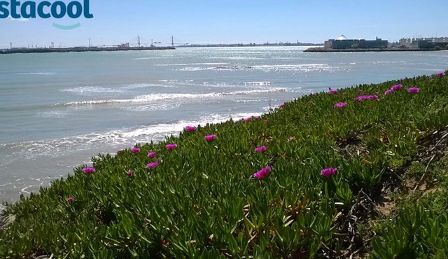 Luxury Family Villa at 50m from Natural Park with dunes & beach 300 m. in El Puerto de Santa María
