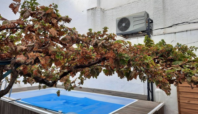 Malaga: Mansion in Malaga