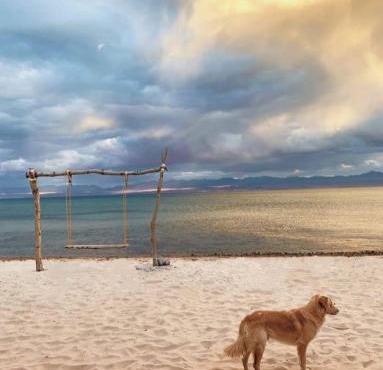 New Rosa Beach Camp
