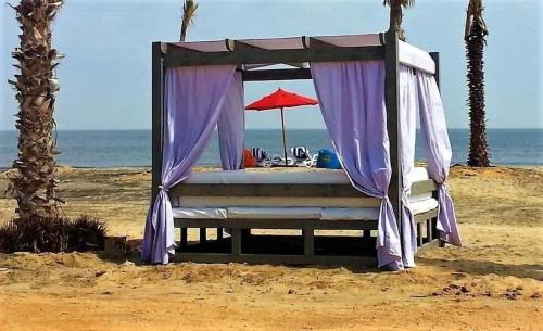 portosaid chelat-portsaid