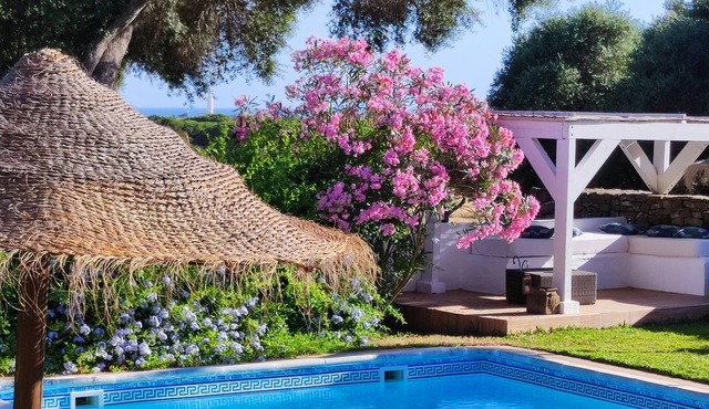 Rural house Maximón. Green apartment Peace in the forest in Los Caños de Meca