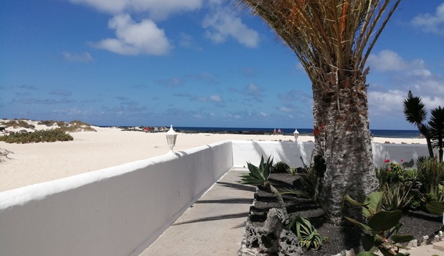 Studio en complejo a pie de playa- Fuerteventura -islas Canarias in El Cotillo