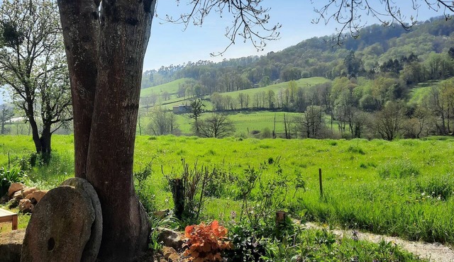 The Painter's Cottage. Country house in Asturias. Relax while looking at 1 native forest in Gradatila