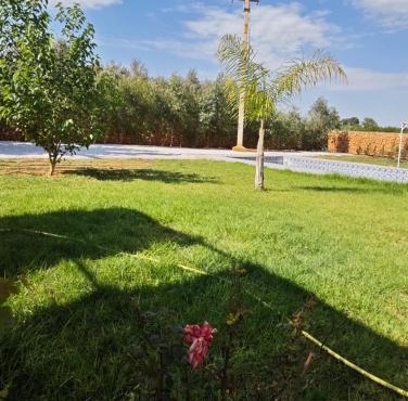 Villa jasmine piscine sans vis à vis, BERKANE