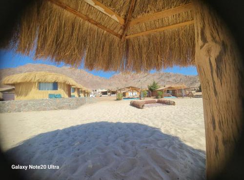 Viva La Vida Beach Camp