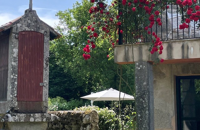 Casita Mariposa Door Casa 