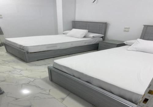 Aswan House | Alara Hostel ' Only girls '