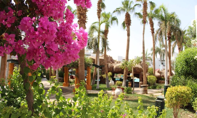 El Hadaba Hostel | Hostel ∙ 8 guests