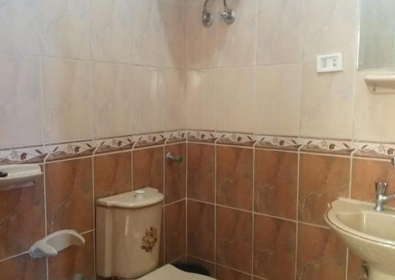 Luxor House | Ziggy Marley Backpackers Hostel