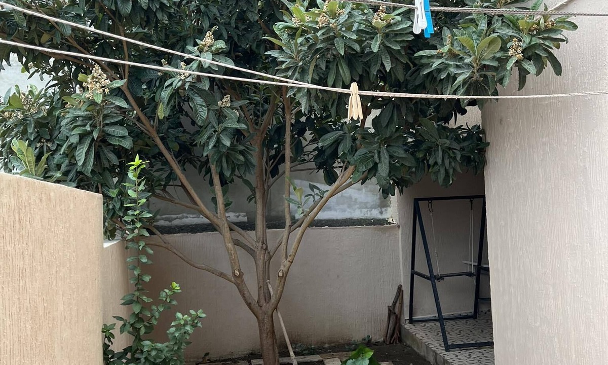 Menzel Jemil Apartment | Bel Appartement Neuf