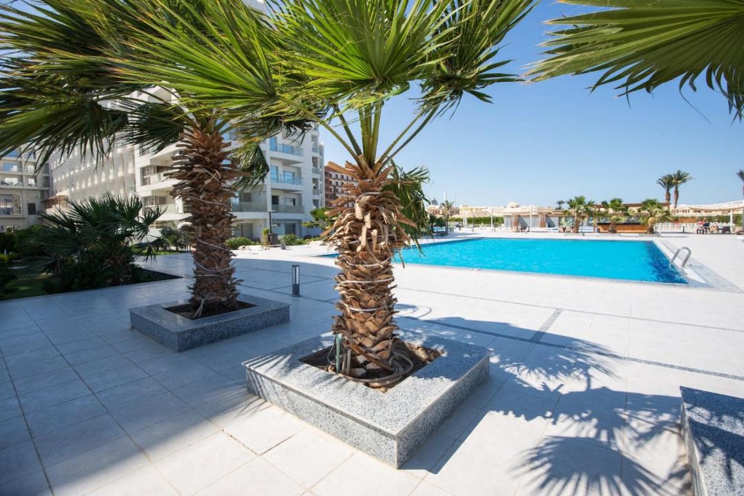 Corniche Road-Dahar Apartment | Studio 2 double beds balcony free WiFiC201