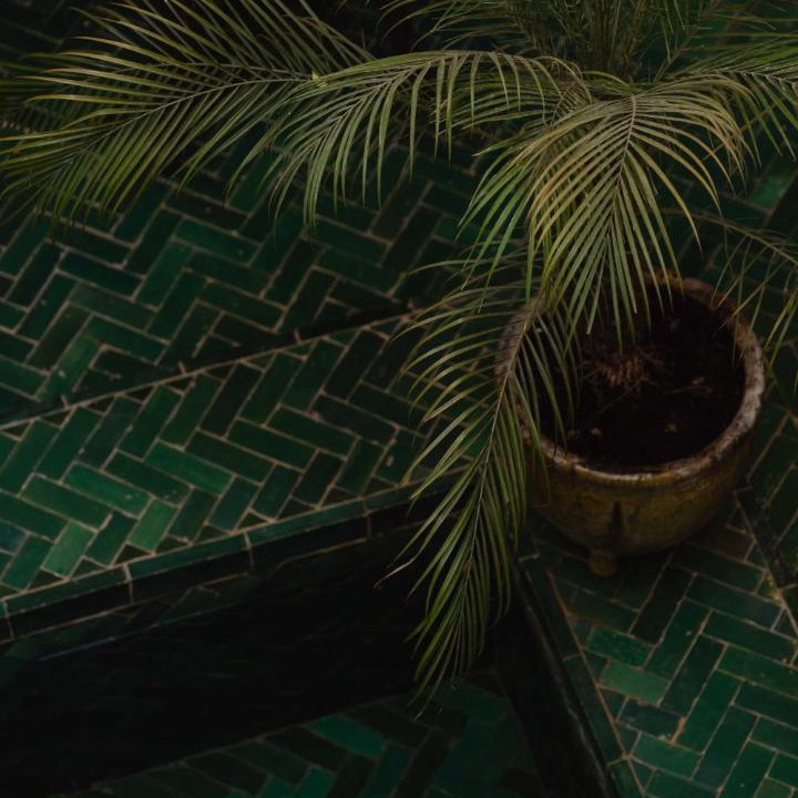 Mouassine Villa | Riad Mint - Stylish Private Riad with Pool & Terrace