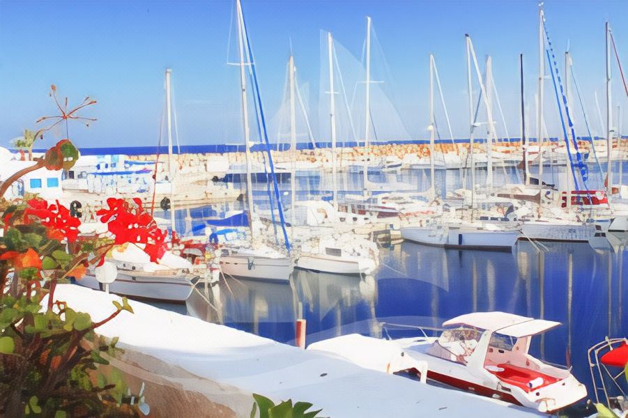 Photo of Others in Monastir