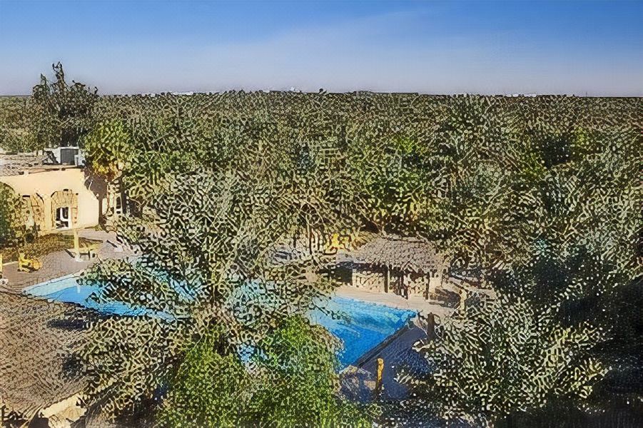 Photo of Outdoor in Douz