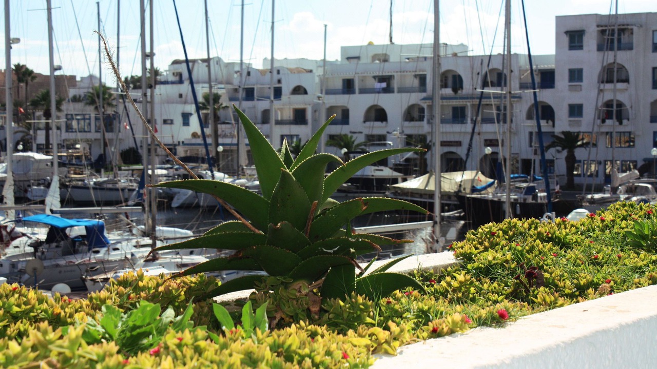 Photo of Buildings in Monastir