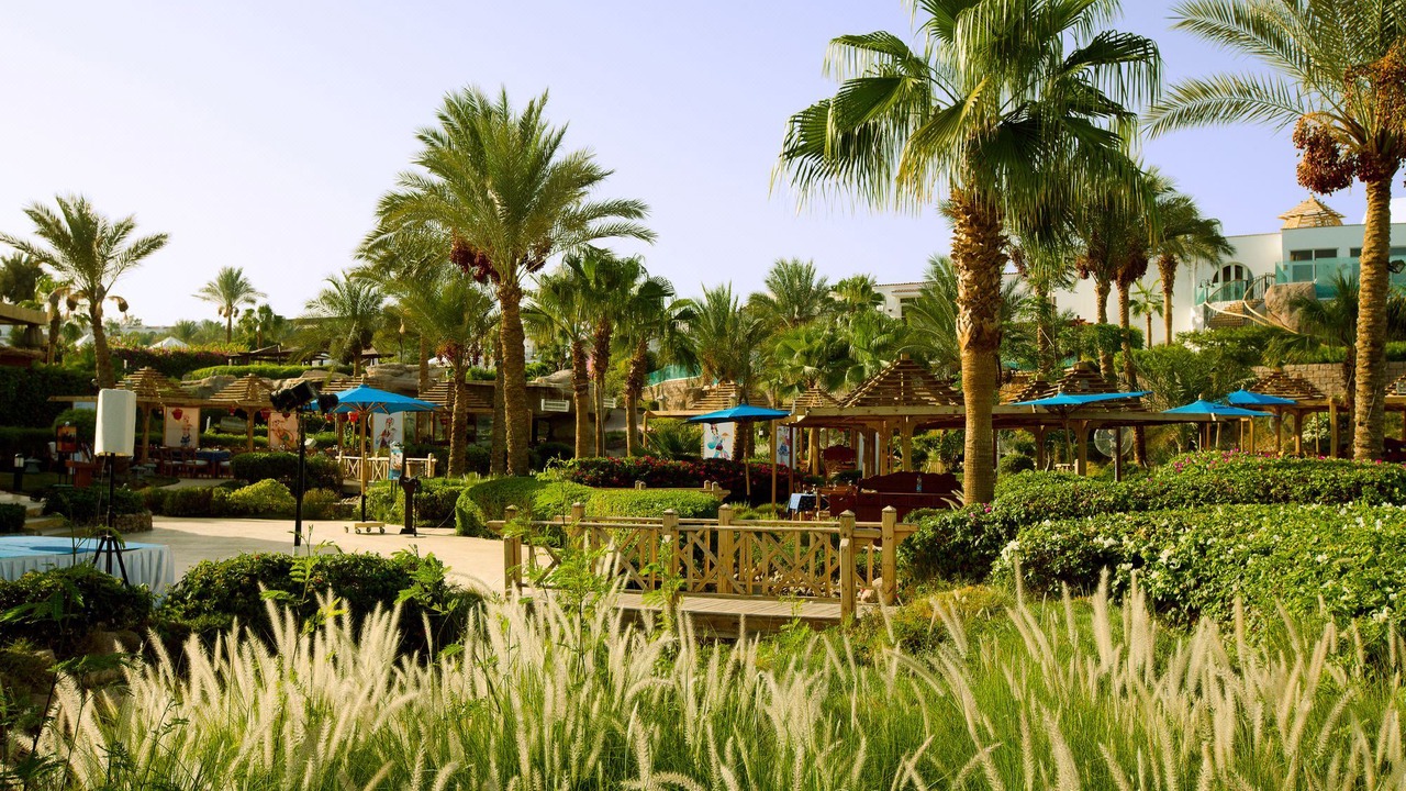 Photo of Others in Sharm El Sheikh