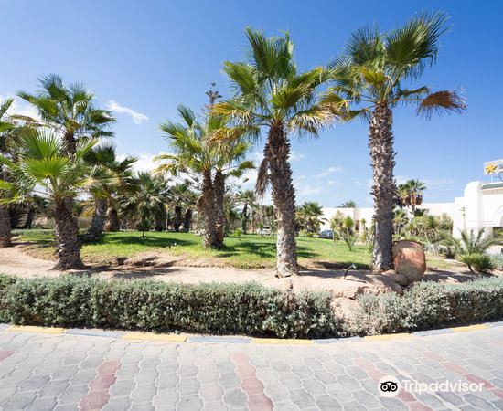 Photo of Outdoor in Djerba Midun