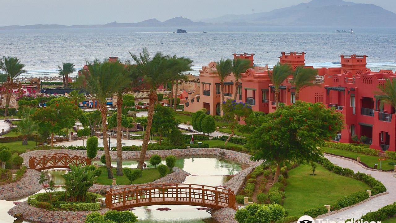 Photo of Others in Sharm El Sheikh