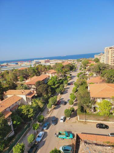 Photo of Others in Port Said