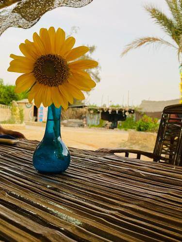 Photo of Others in Tunis Village