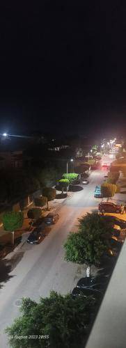 Photo of Others in Port Said