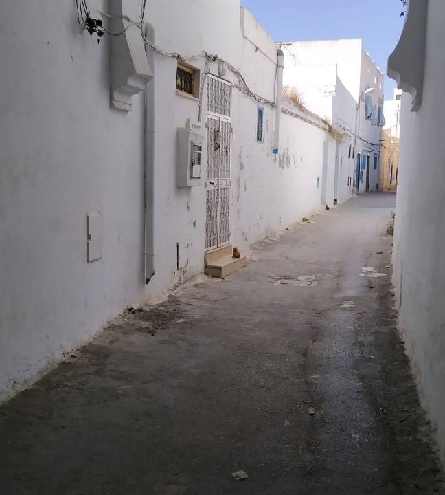 Photo of Others in Tunis