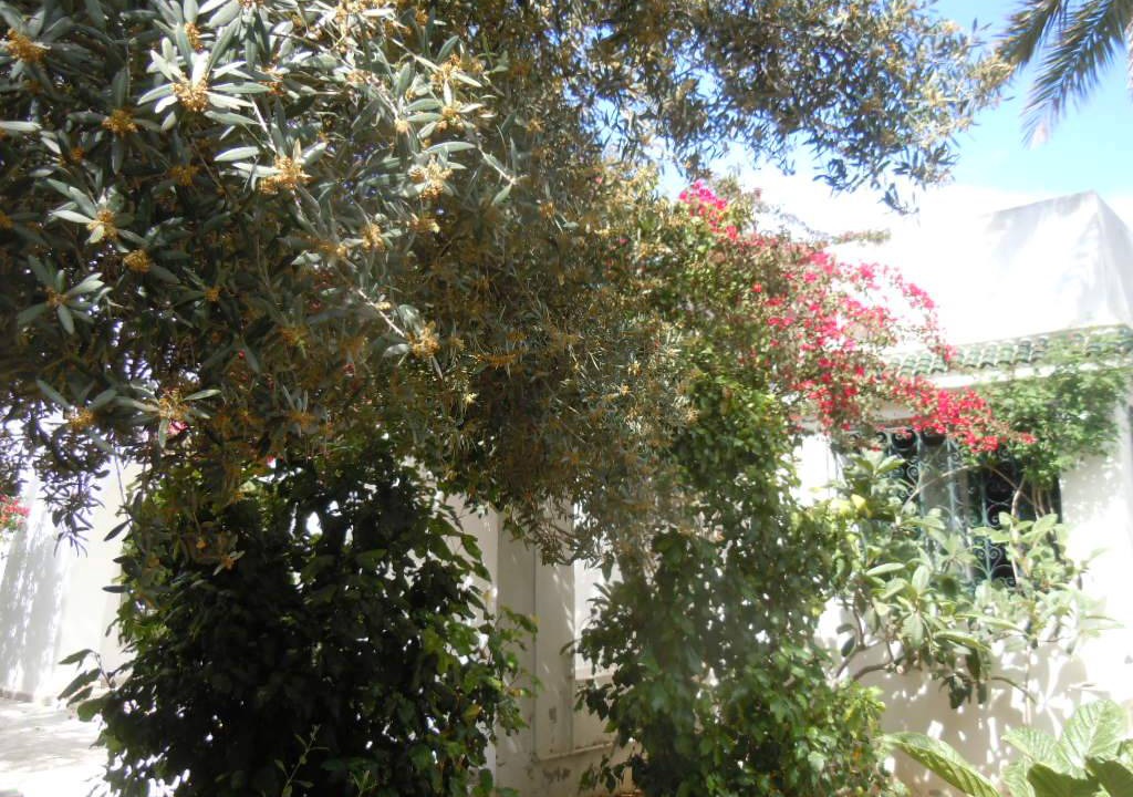 Photo of Others in Mahdia