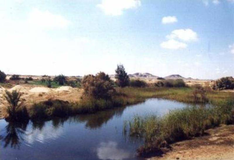 Photo of Others in Bawati