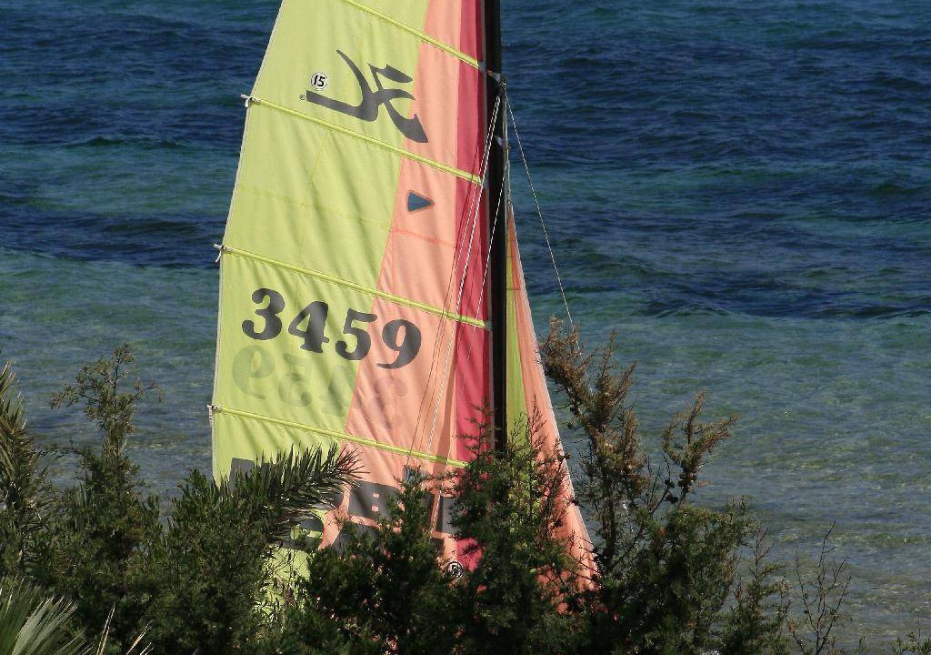 Photo of Others in Hammamet