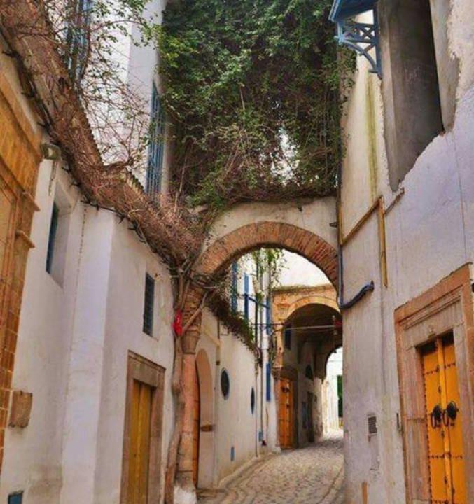 Photo of Buildings in Souks