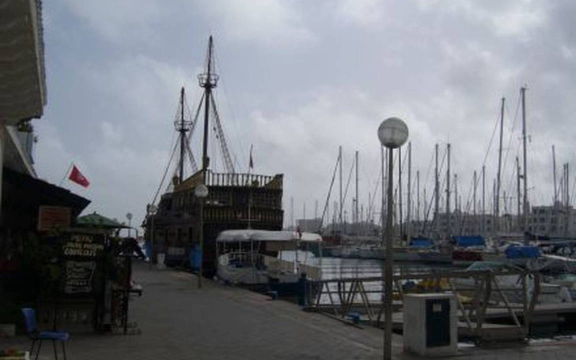 Photo of Others in Tantana