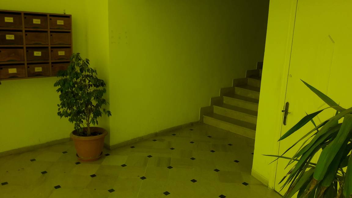Photo of Others in Cite Les Palmeraies