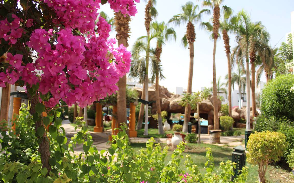 Photo of Others in El Hadaba