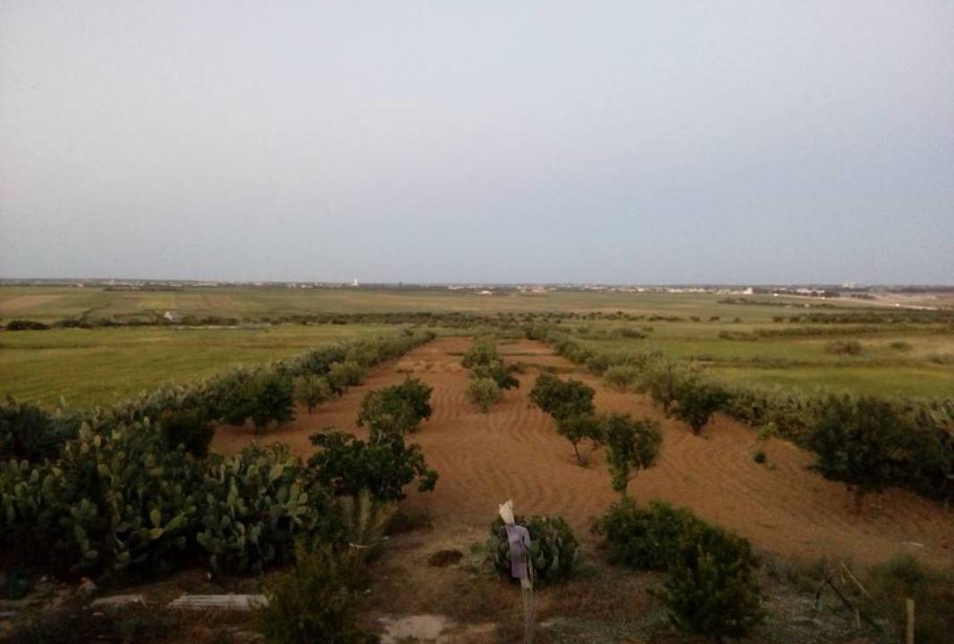 Photo of Others in Sidi El Heni