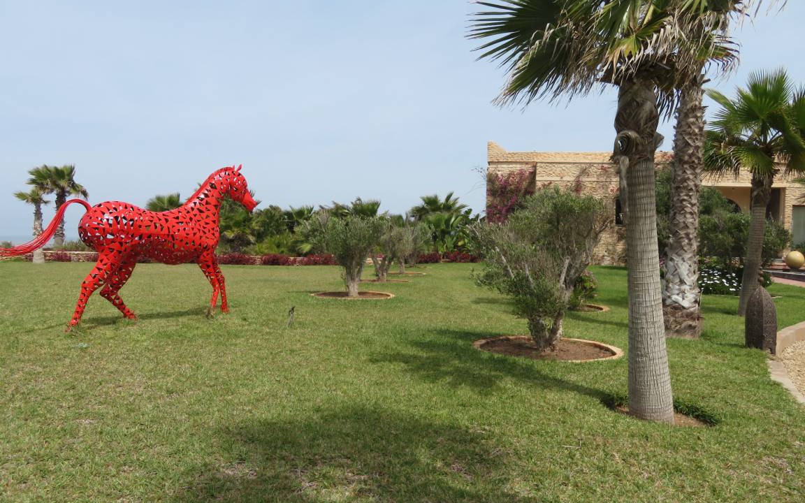 Photo of Others in Essaouira