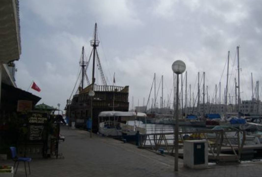 Photo of Others in Tantana