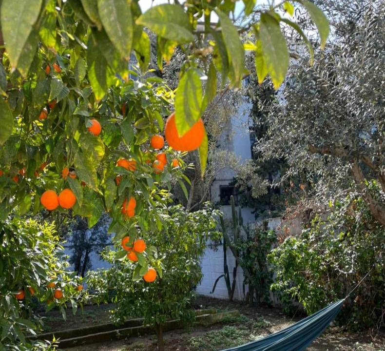 Photo of Others in Tunis