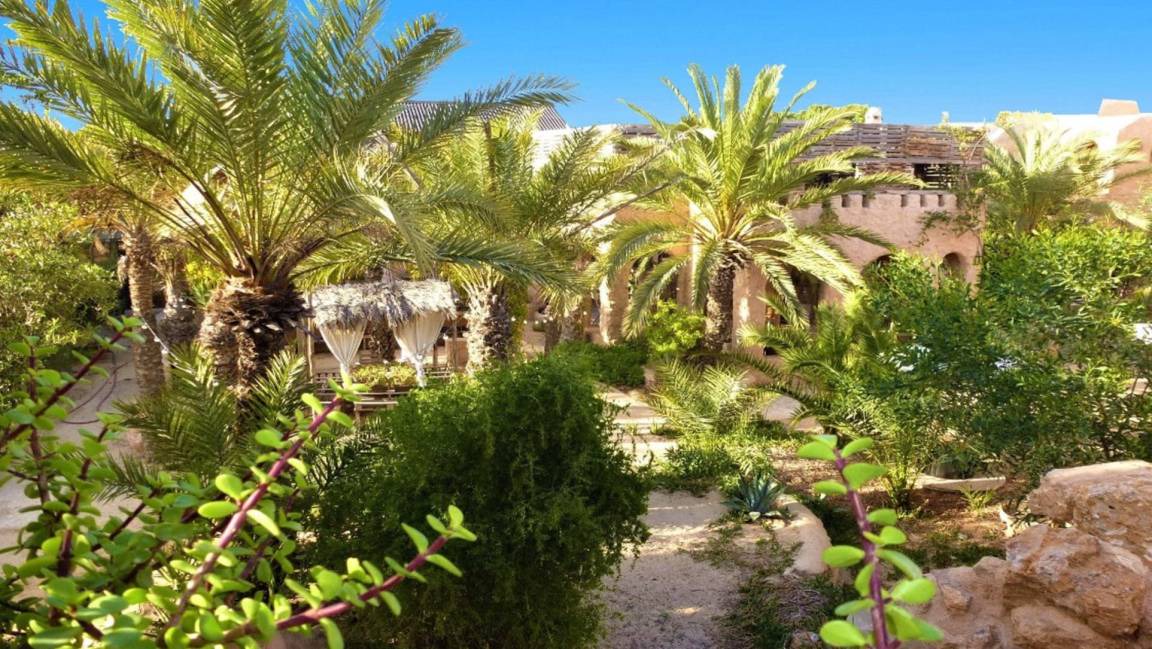 Photo of Others in Djerba Midun