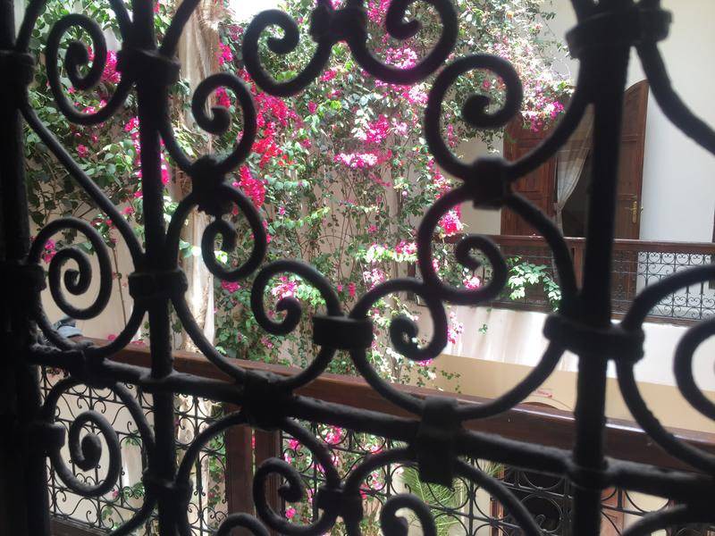 Photo of Others in Riad Zitoun Jdid