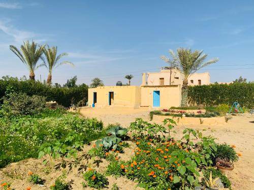 Photo of Others in Tunis Village