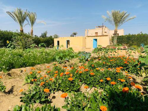 Photo of Others in Tunis Village