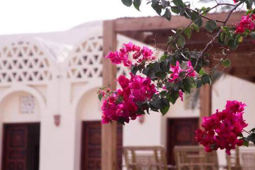 Photo of Others in Tunis Village
