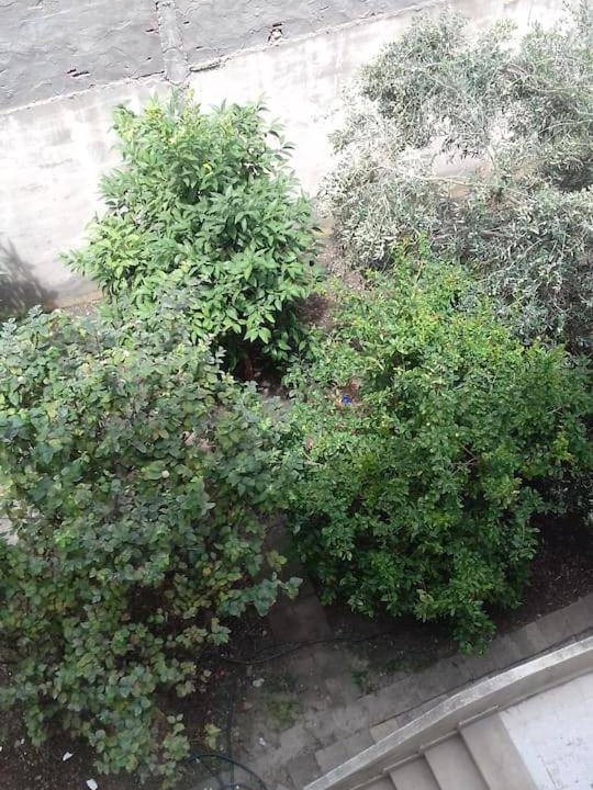 Photo of Others in Bizerte