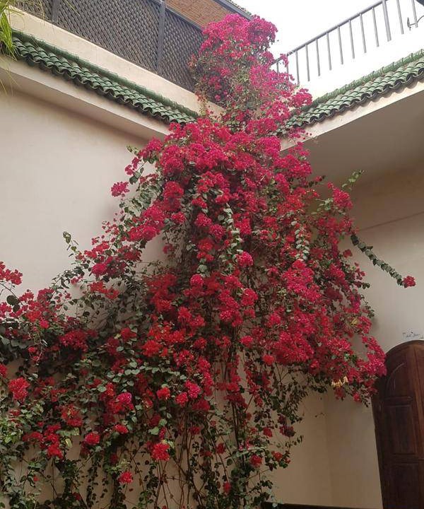 Photo of Others in Riad Zitoun Jdid