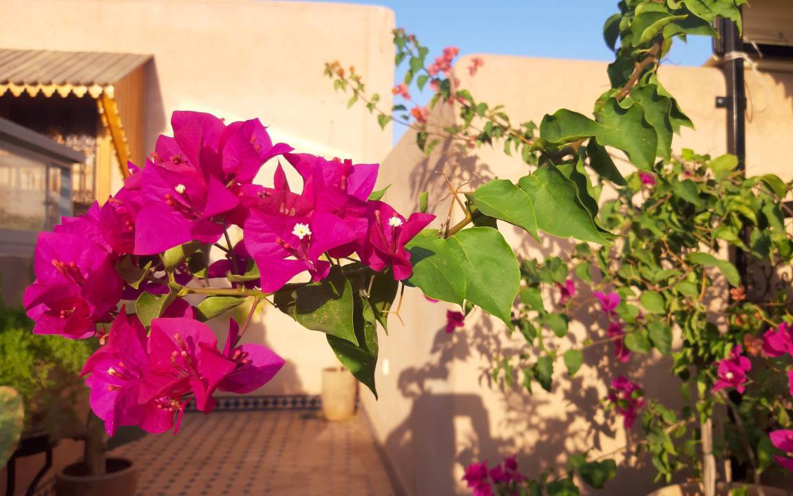Photo of Others in Riad Zitoun Jdid