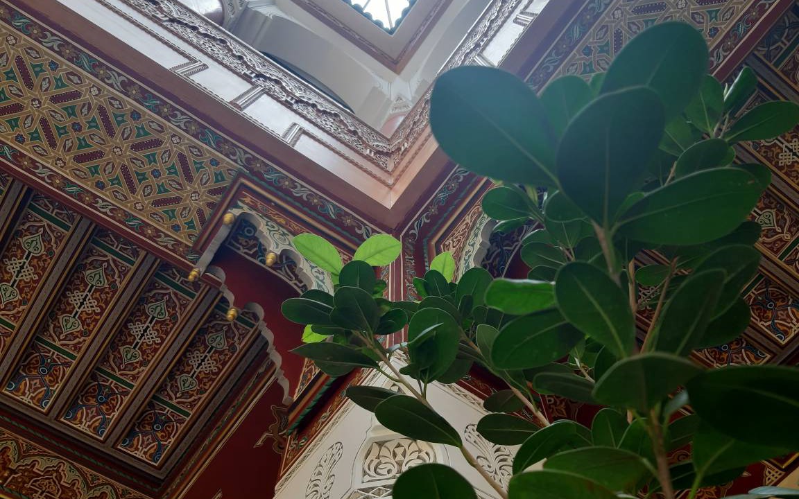 Photo of Others in Riad Zitoun Jdid