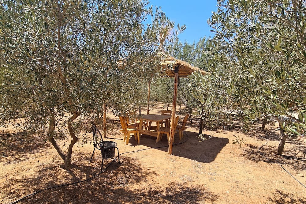 Photo of Outdoor in Sidi Bou Ali