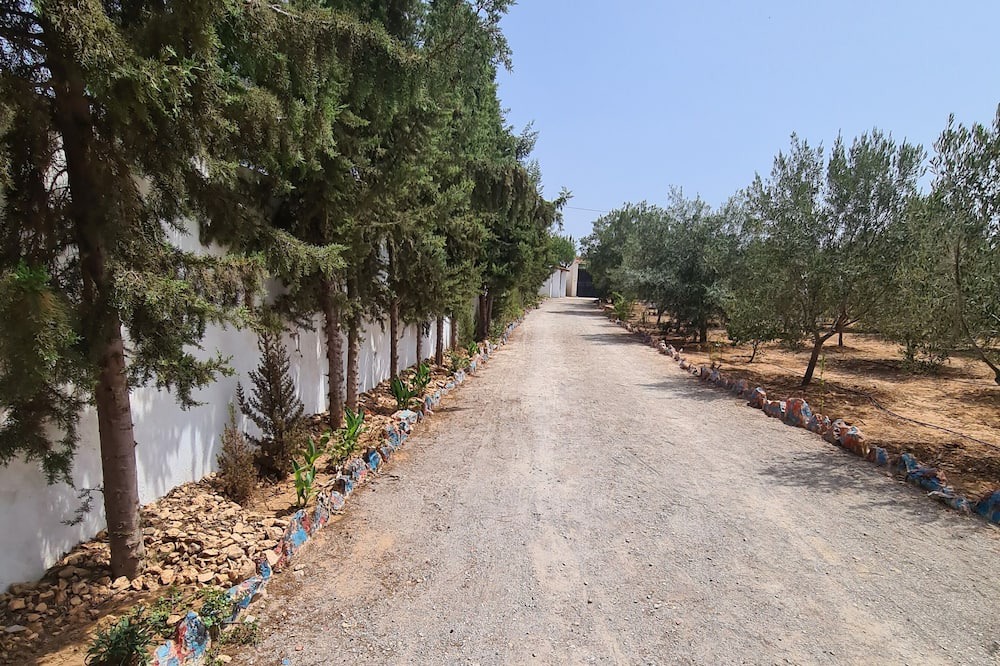 Photo of Outdoor in Sidi Bou Ali
